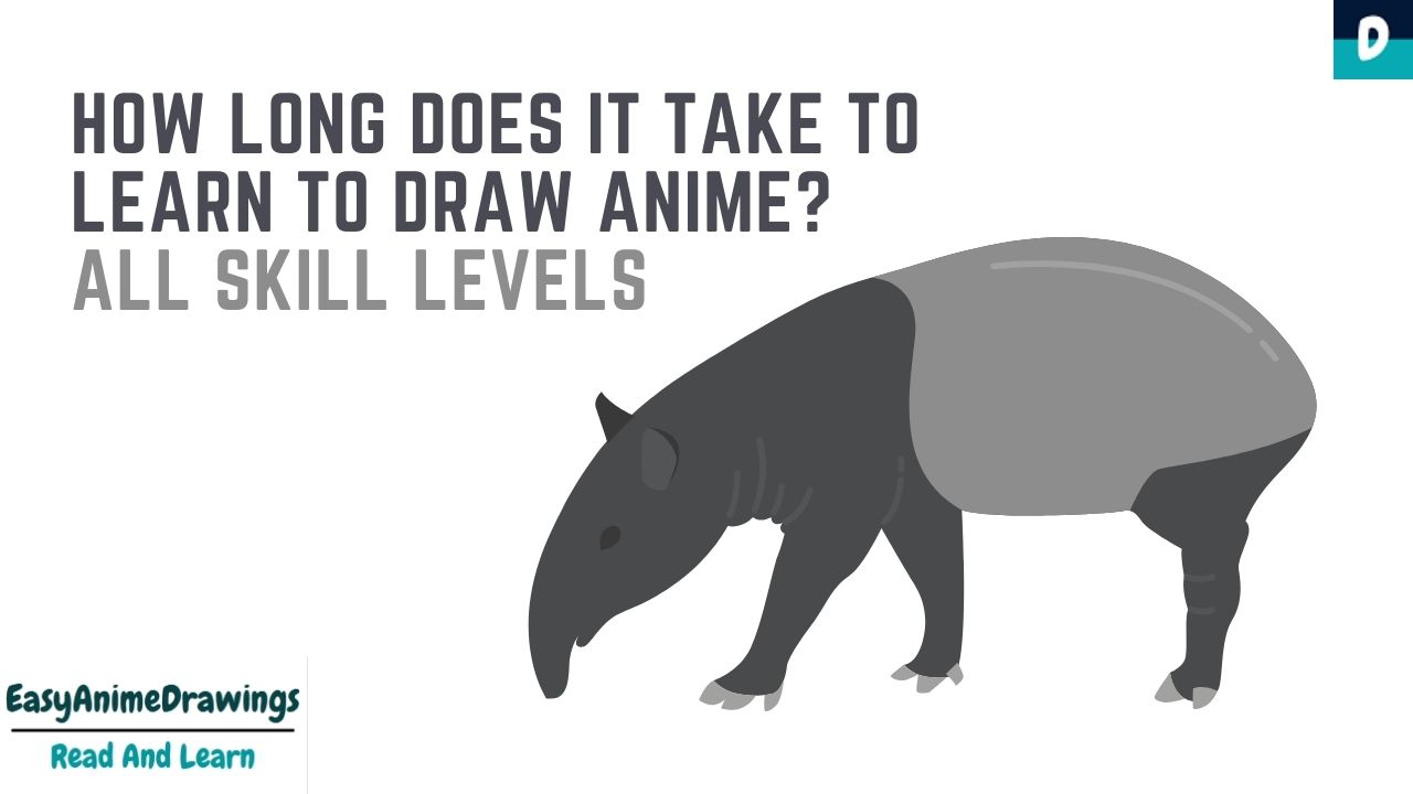How Long Does It Take To Learn To Draw Anime? All Skill Levels
